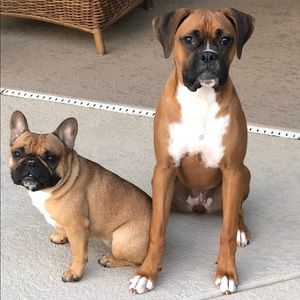 Meet your Posher, Debra